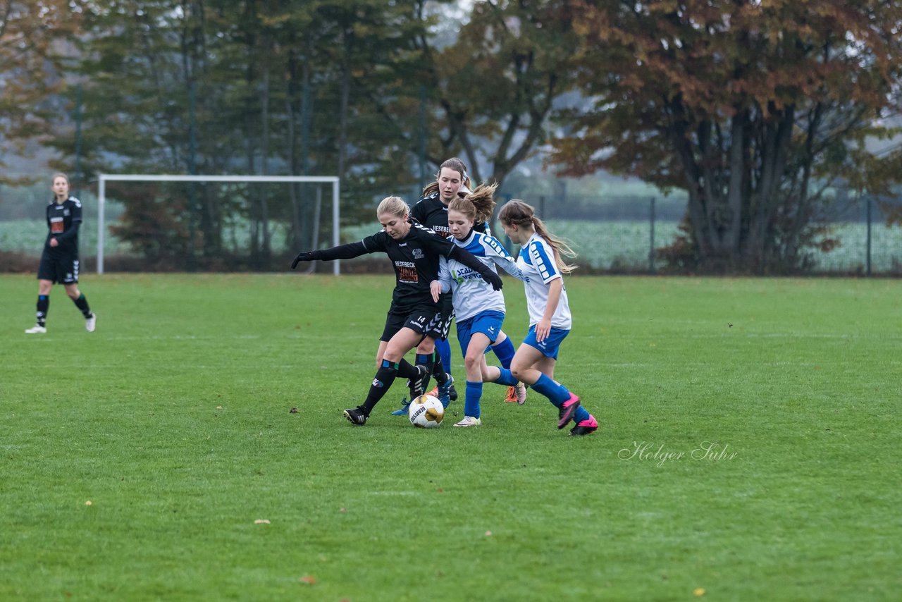 Bild 170 - Frauen SV Henstedt Ulzburg III - Bramstedter TS : Ergebnis: 1:0